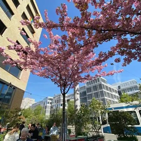 Kaya Turquoise Lägenhet Zürich