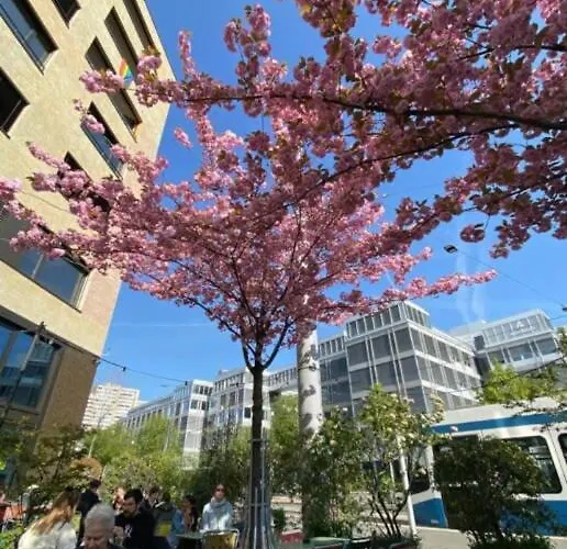 Kaya Turquoise Apartament Zurych